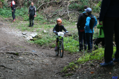 Bild-008
