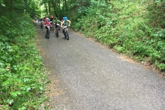 UNADJUSTEDNONRAW_thumb_38d